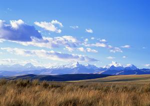 鹿児島で家族葬をしたいならNPO法人想い出市民葬祭