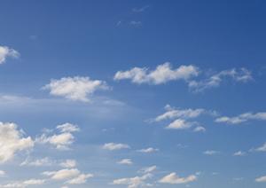 家族葬を専門に行っている鹿児島の葬儀会社