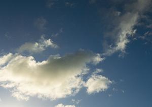 鹿児島で家族葬を取り仕切っている業者