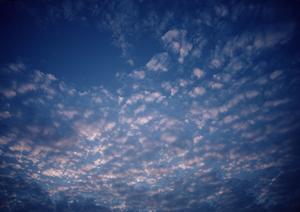 コスト削減に効果のある家族葬を鹿児島で行う場合