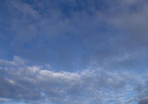 家族葬によって身内だけで死者を見送りたい場合